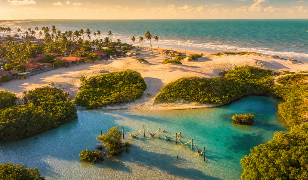 capa_artigo1_jericoacoara
